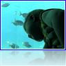 Nevermind !!